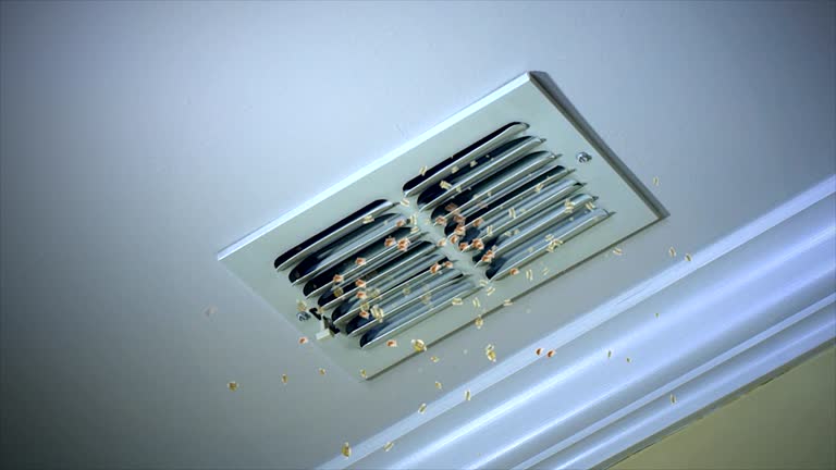 Best General Air Duct Cleaning  in Le Claire, IA