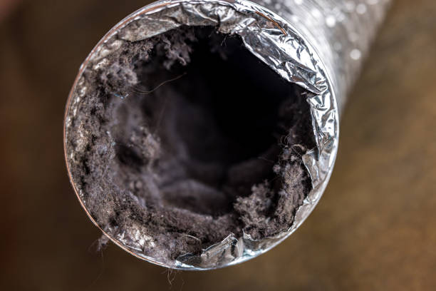 Best Home Air Vent Cleaning  in Le Claire, IA